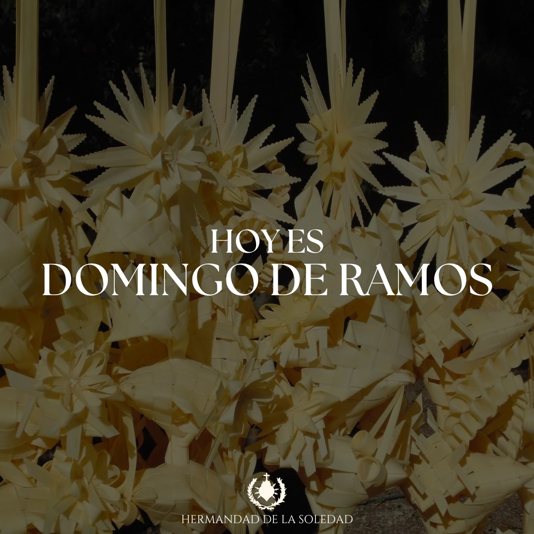 🌿 Hoy celebramos la entrada triunfal de Jesús en Jerusalén. Hoy es #DomingodeRamos, el día que se nos invita a preparar el alma para la Pascua.

Es momento de vivir los misterios de la Fe. La espera ha terminado. 

#SiglosdeSoledad
#YoSoydelaSoledad