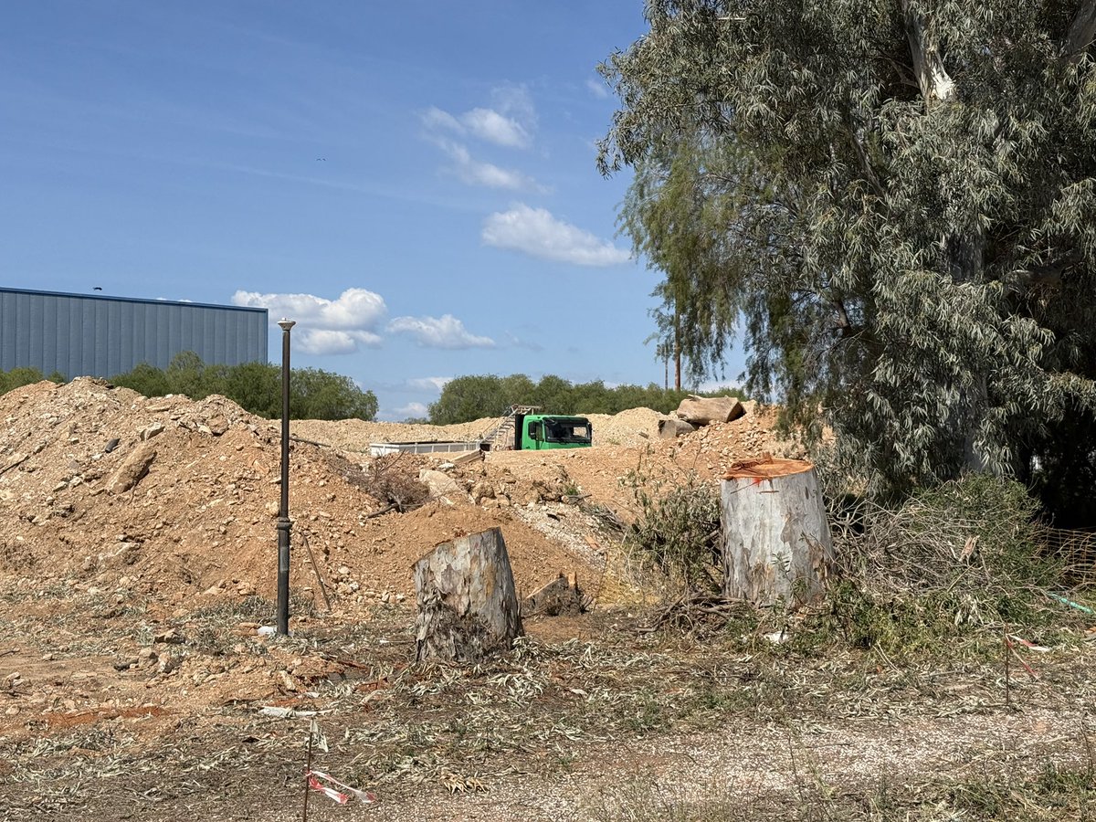 Σημερα κόβονται ακόμα δέντρα!περιοχή του Αγίου Κοσμά στο ελληνικό ένα καταπράσινο μέρος πολλών στρεμμάτων με δέντρα που ξεπερνούσαν τα 10m ύψος εκατοντάδων χρονών! Υποσχέθηκαν το μεγαλύτερο πάρκο στην Ευρώπη στα πρότυπα του sentra park αυτή τη στιγμή είναι μόνο τσιμέντο κ κτίρια