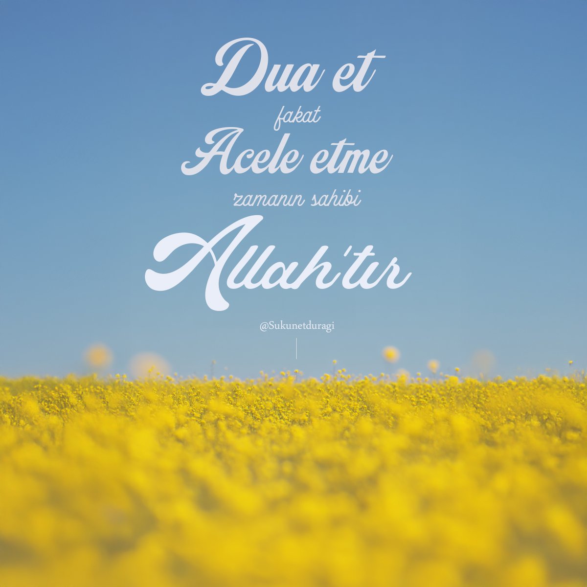 Sukunetduragi's tweet photo. "Dua et fakat acele etme, zamanın sahibi Allah'tır.❤️"

#pazar #sabır #tevekkül #duagunü #AyağaKalk https://t.co/WVhpRMP3jw