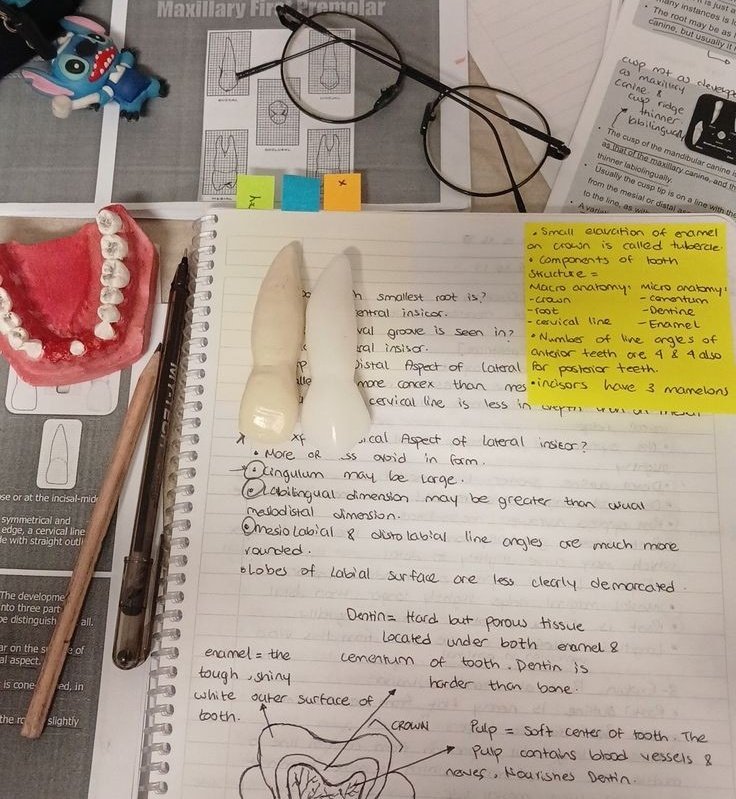 B🫧 Hiatus tweet media