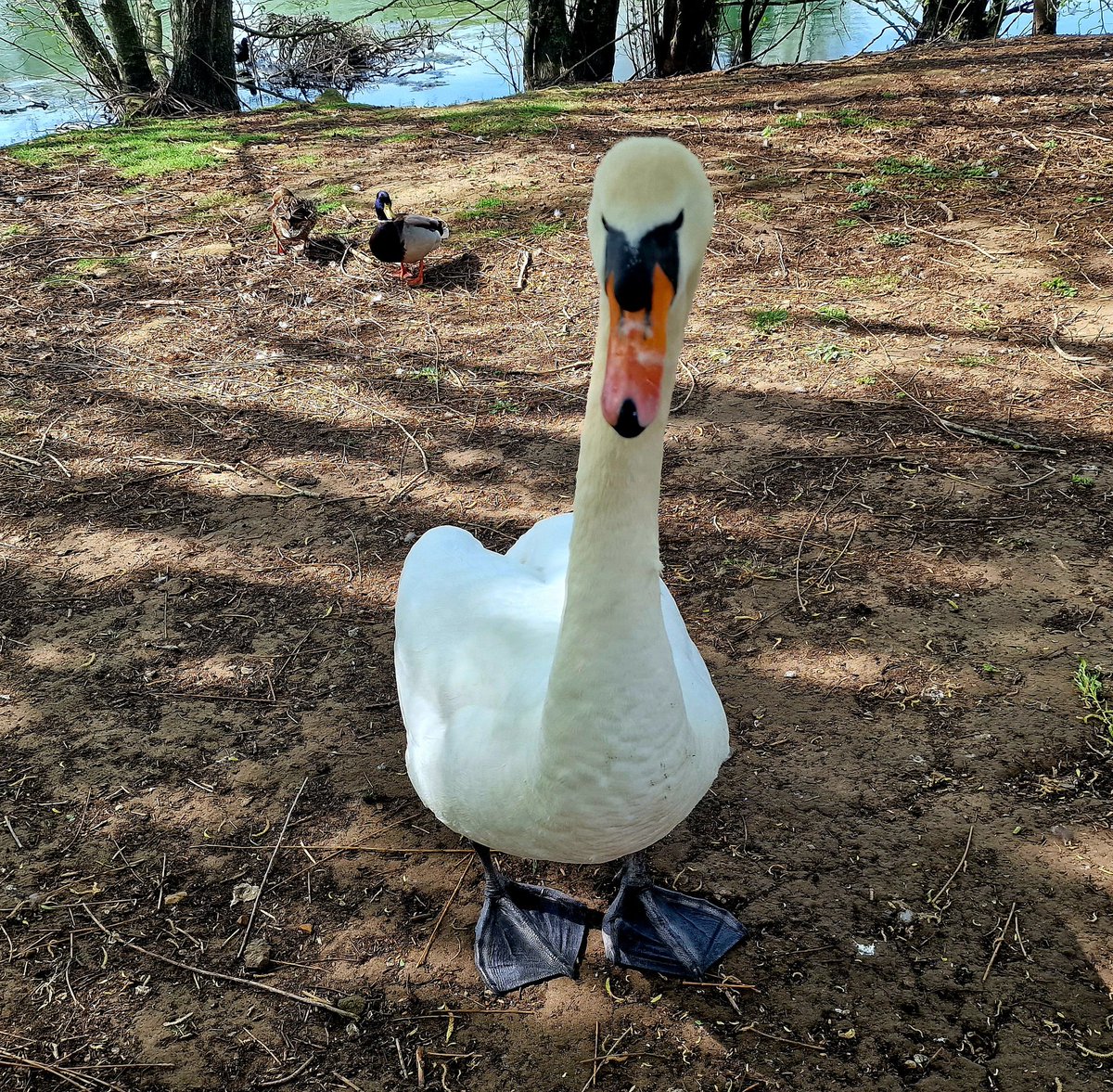 Mark Narrations tweet media