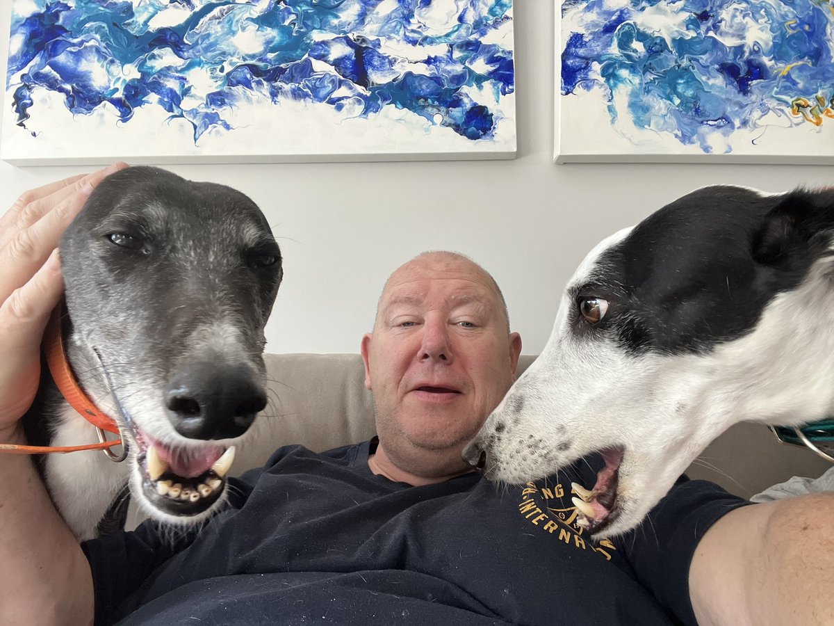 hammer hound tweet media