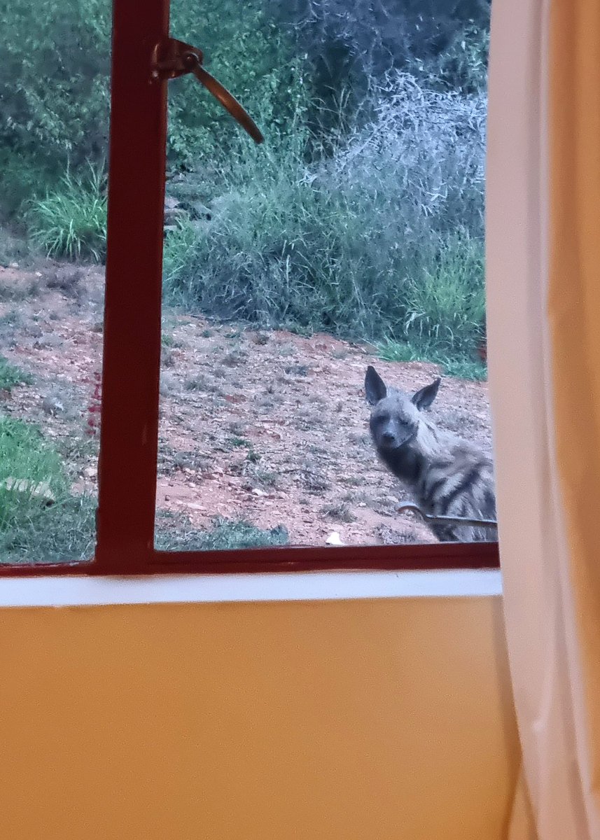 Matthew Shawkey tweet media