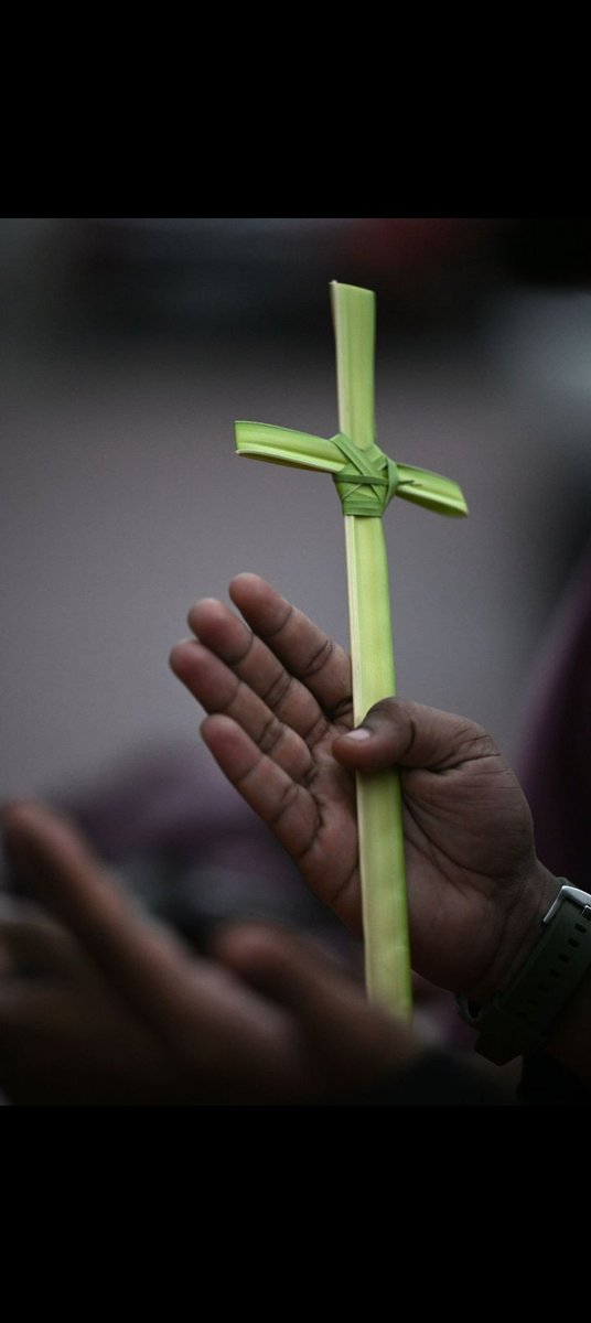 Collins_crypt_'s tweet photo. Good morning and blessed Palm Sunday! May today bring peace to your heart, hope to your spirit, and joy in the celebration of new beginnings. Hosanna in the highest! #BPCaidropgames https://t.co/9On3r6Gfxf