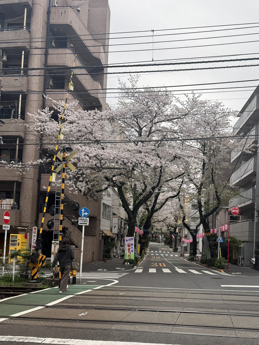 shige021080's tweet photo. 先週の銭湯。
#南大塚桜まつり をチラ見しながら、お風呂とサウナの後はマッサージを受けて、ギネス飲んで帰ろうと思ったら時間が合わずお店を巡り、帰途に上野で途中下車🚃
#豊島区
#南大塚
#サウナニュー大塚
#銭湯 
#sento 
#サウナ
#sauna 
#上野hub 
#ギネスビール 
#draftguinness https://t.co/B9u4fneSYI
