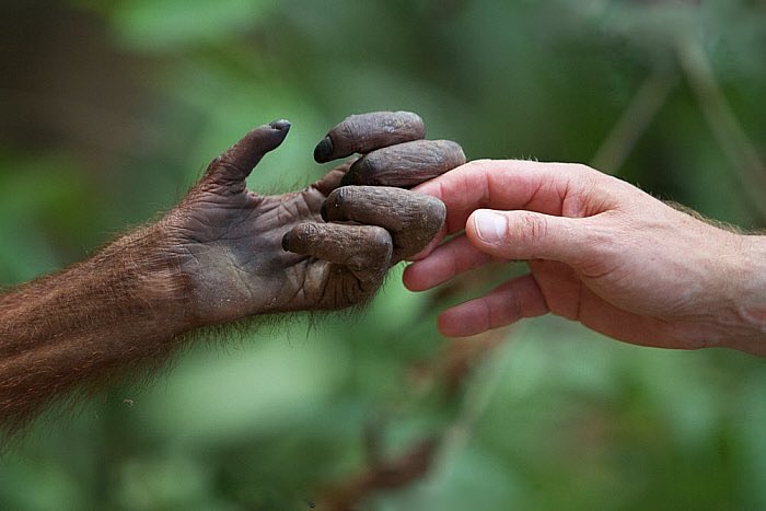 🌏

Two hands so similar.

One harms nothing, the other destroys everything.