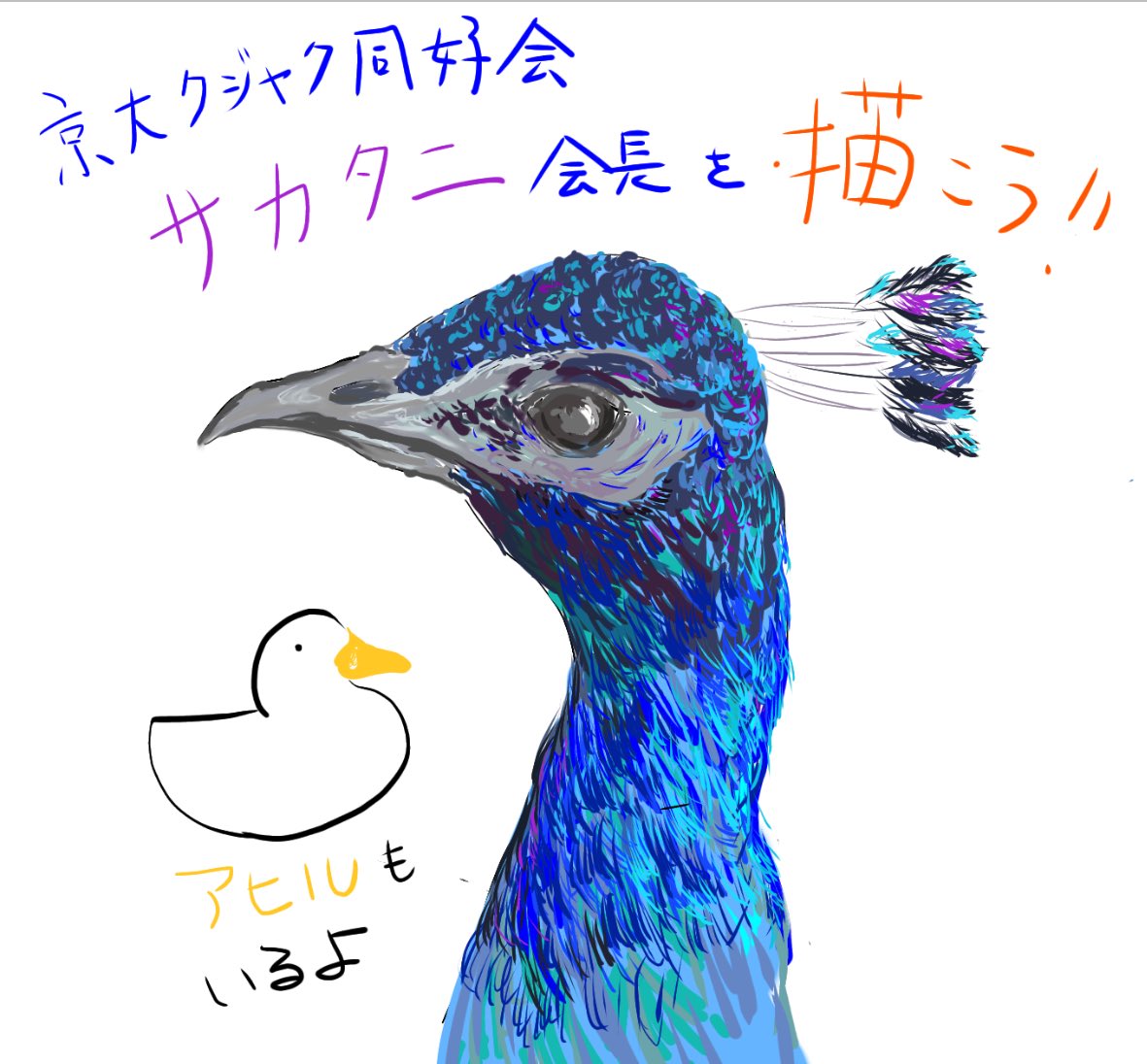 新歓イベント
①4/15(火)12:15〜13:00
　C棟5階 C510
　田島先生のお部屋
🍚白ご飯たべよう🍚
　おかずは未定

②4/19(土)13:00〜16:00
　雨→4/20
　京大熊野寮
🦚クジャクを描こう🦚
京大クジャク同好会とのコラボ企画
お菓子を食べながら
出入り自由
詳しい場所は、s23147学内メールに連絡ください