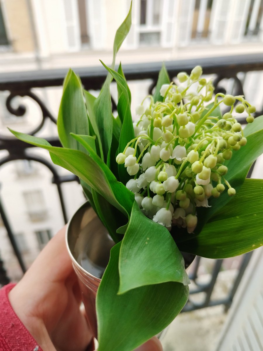 Shirin______'s tweet photo. going to the marketplace and buying flowers. maybe the elders were onto something 🚬
#TheGrandmaWay #MaybeImOld
#MyRoomSmellsFrickingNice https://t.co/KKqmr2U6ML
