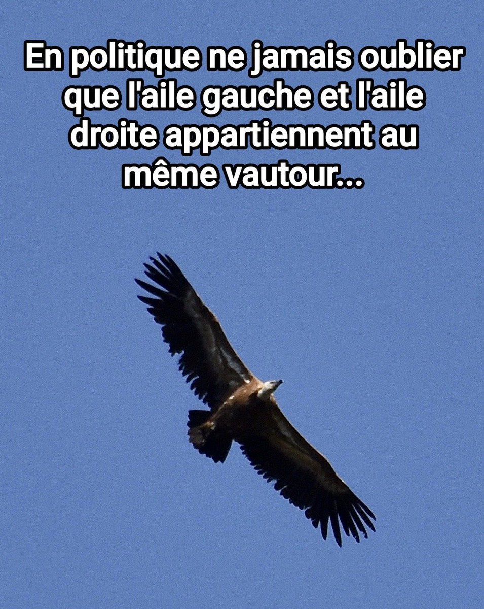 Pascal_Laurent_ tweet picture