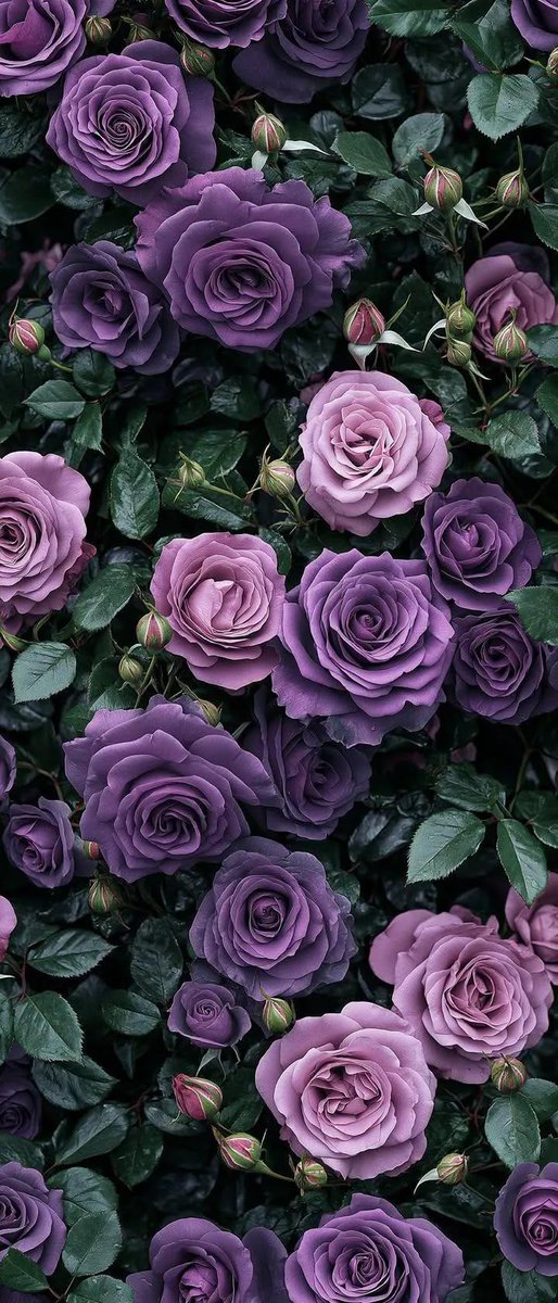 Flowers tweet media