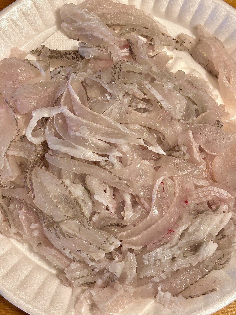 yom 𓈒𓏸 tweet media