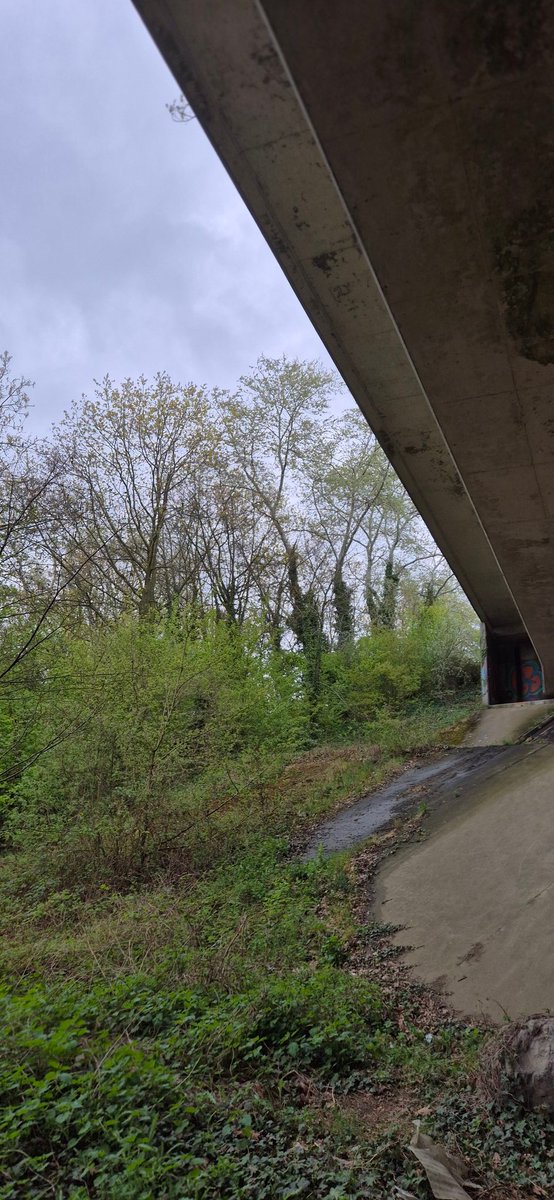 DepoorterSiegie's tweet image. Morgen welgeteld 12 jaar geleden heb ik beloofd om elk jaar de busramp in Oelegem te herdenken en dat in de naam van de famille van de overleden slachtoffers en de vele slachtoffers zelf die op de plaats zelf nooit zullen geraken. 
" Ik HEB HET BELOOFD '

#ranst  #busramp