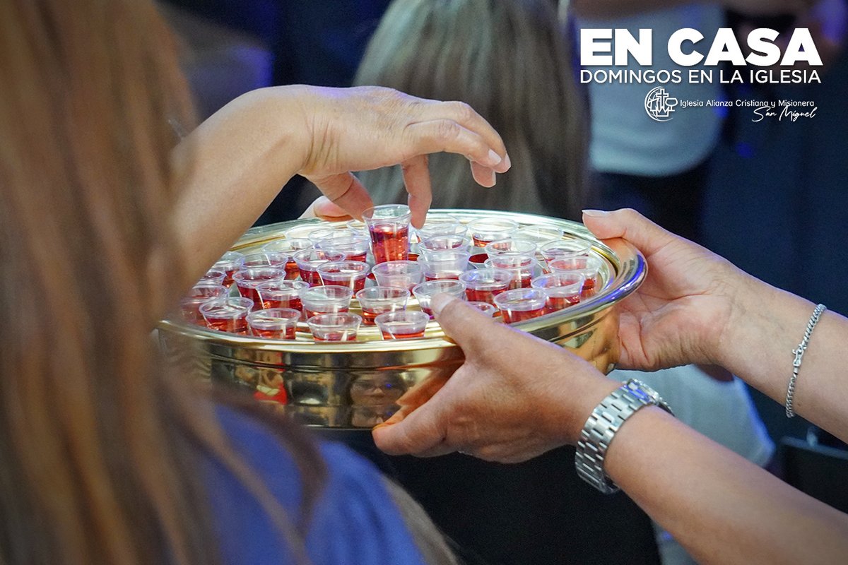 ACYMSM's tweet photo. DOMINGOS EN CASA 
Nuestros tiempos en Casa están llenos de alegría y gratitud al Señor, pues Su bondad es inagotable.
Te invitamos a ser parte de nuestras reuniones todos los domingos:
8:00am / 9:30am / 11:00am / 12:30pm
#DomingosEnCasa #DomingosenlaIglesia https://t.co/h0GsktiTTP