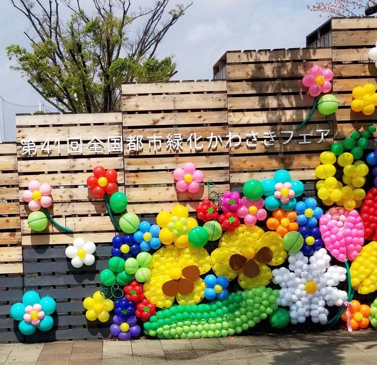 miyuyon0515's tweet photo. 250412 【全国都市緑化かわさきフェア（等々力緑地会場）】
半年ぶりのNazkiくんライブ🎤🎶
11日に発売のニューアルバム💿の新曲を早速生で聴けてめっちゃ嬉しい😊💞🌻
いつものように♪ミンナノウタ.♪も一緒に歌ったよ😎
 #BNazki
 #Prisonertour
@b_nazki https://t.co/J0R8Utq59x