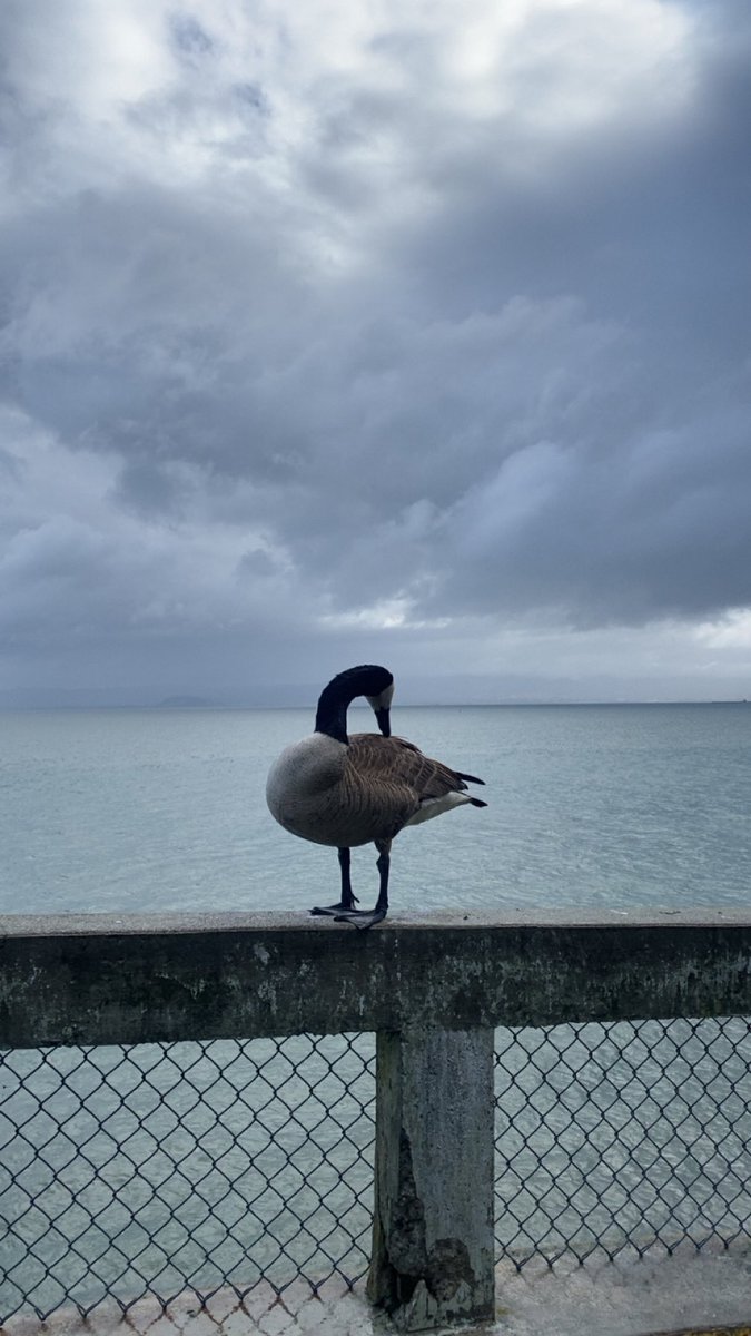 Nia🇲🇱 (@niamtcx) on Twitter photo 