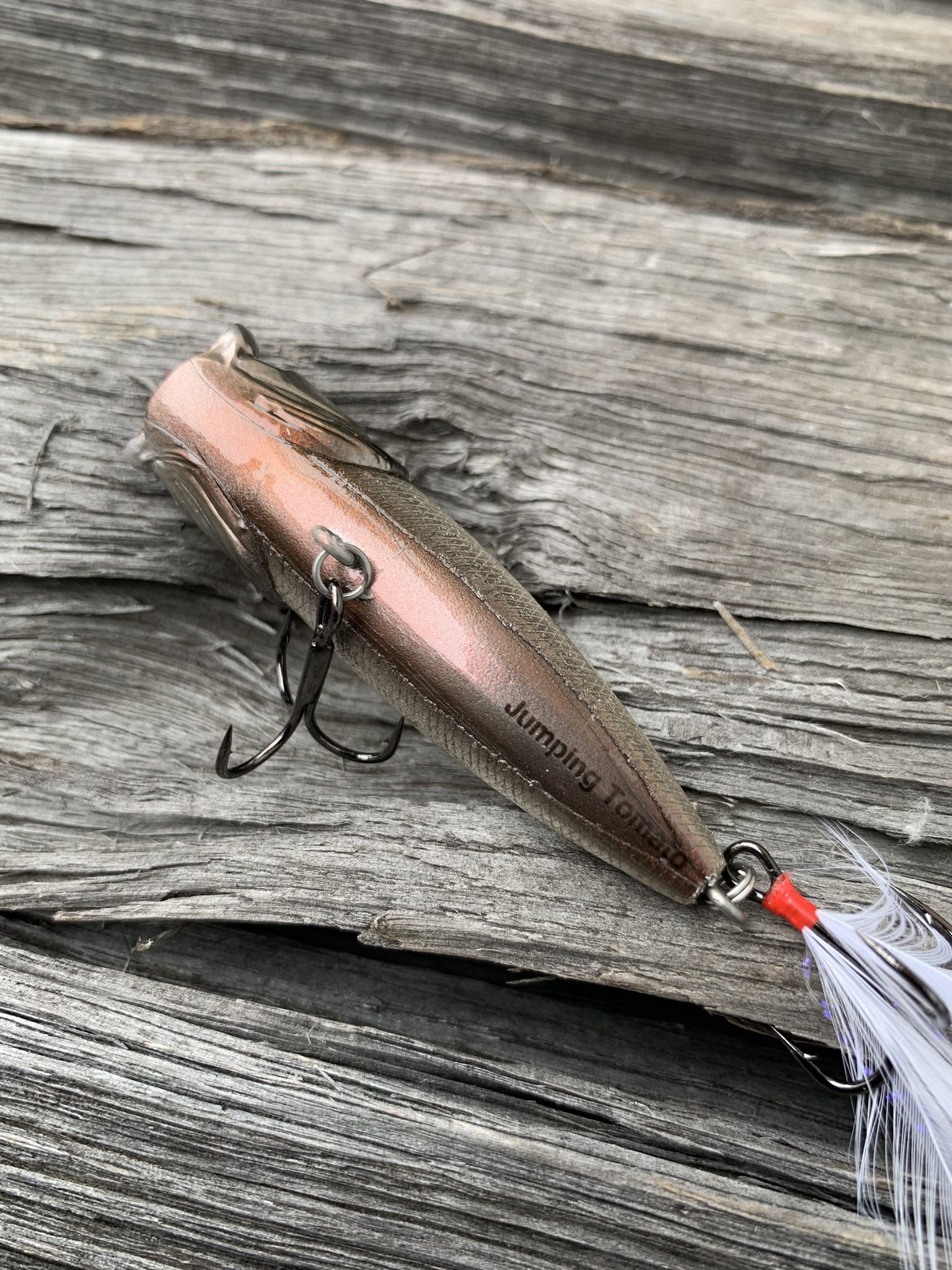 Tomato Lures (@JTL7124) / X Tomato Lures (@JTL7124) / X