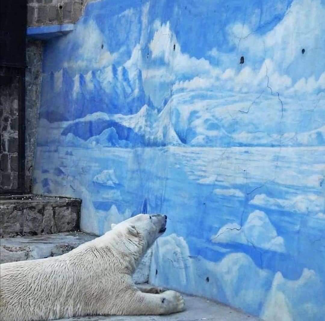 SaltineGiver tweet media