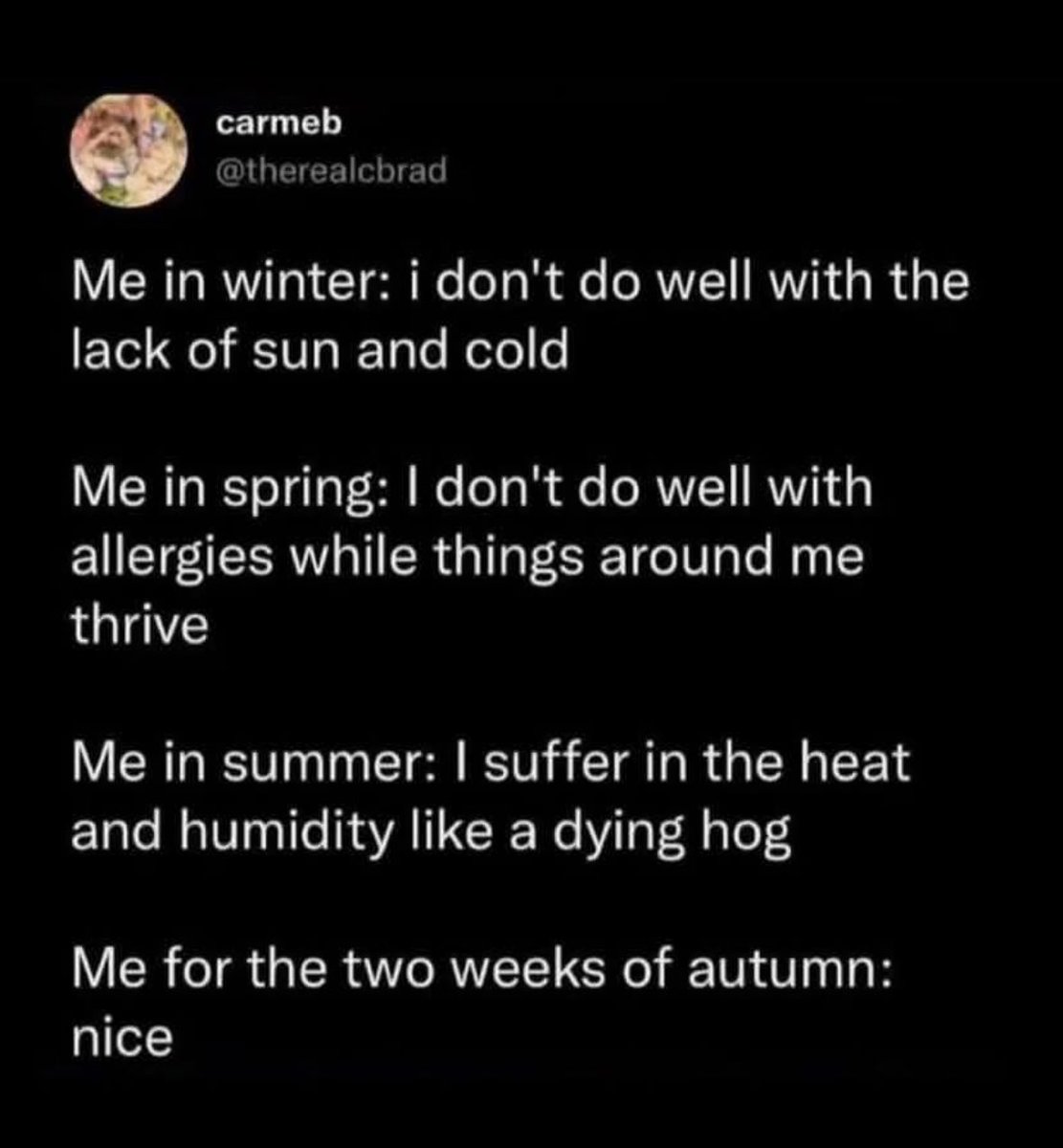 ADHD Memes tweet media
