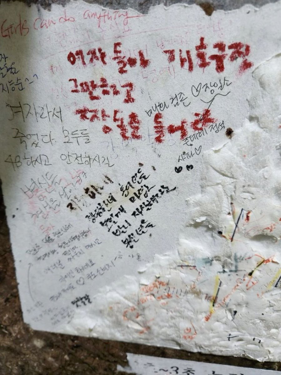 여자들아 개호구짓
그만하고
짱돌을 들어라