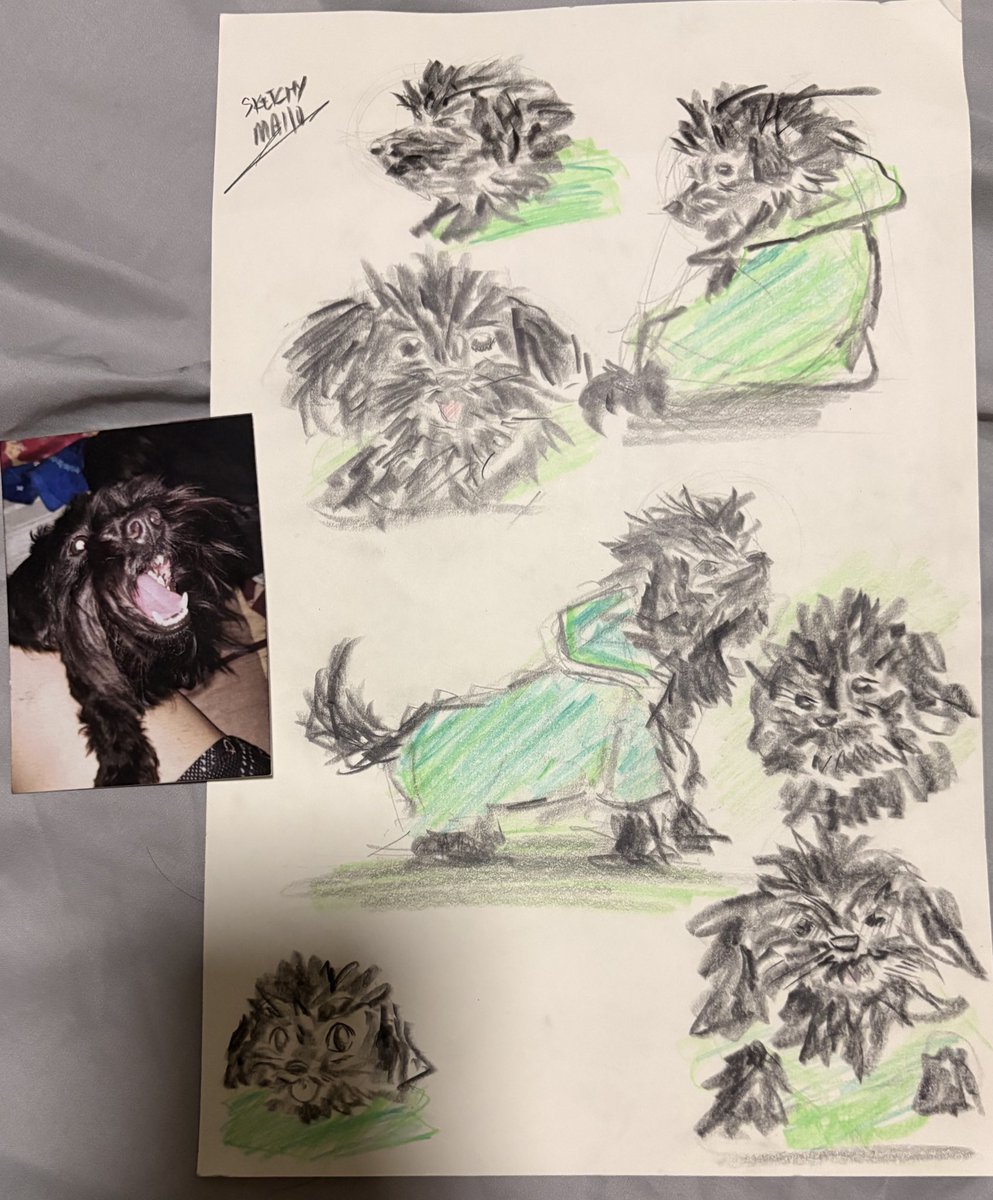 SketchyMallo's tweet image. Drew a doggo during an event sooo ye 🐶