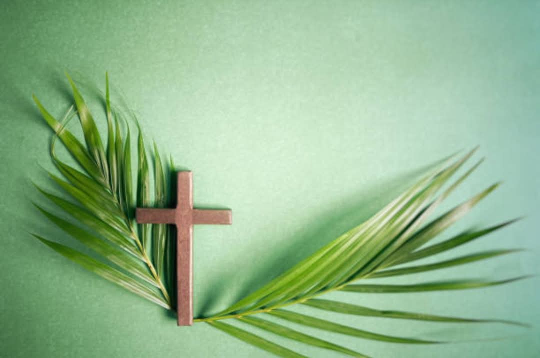 Feliz domingo de ramos