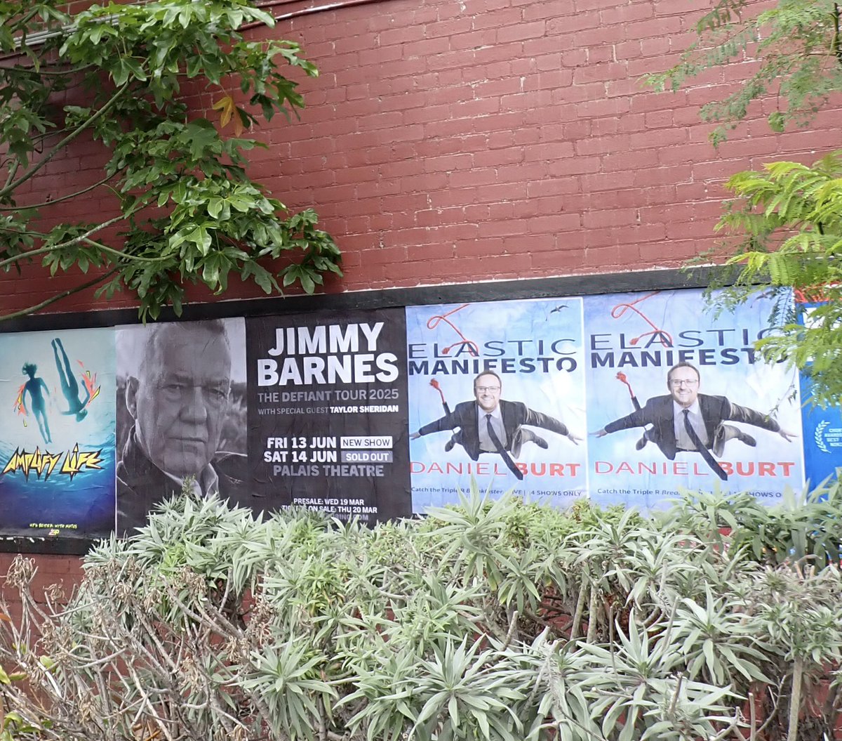 danielcburt's tweet photo. Critics are calling it the most sustained visual assault on Melbourne since Pam the Bird. Book tickets to see Elastic Manifesto NOW to make it STOP. Join the campaign at link in bio. https://t.co/1WQcb71s2b
