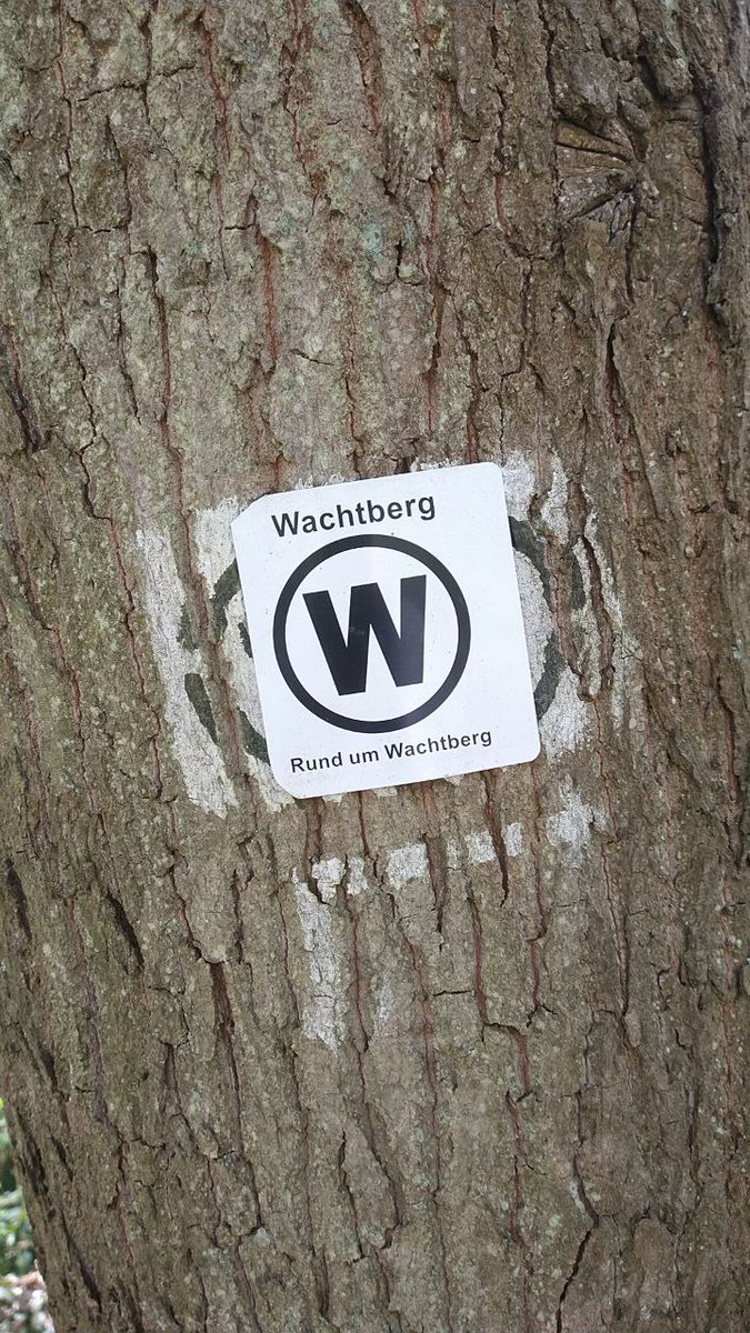 lufabom's tweet photo. 🚴‍♀️☀️💚☕️🌳🚲🌲😊🥰🚴‍♀️

es war ein wundertoller tag gestern..

ich hab die radelrunde sehr genossen .. auch wenns mir schon fast zu warm war.. der wald bot immer wieder schatten und der fahrtwind tat gut..

hab euch ein paar fotos mitgebracht..

#radfahrt
#wachtberg
#obstplantagen https://t.co/Syx9Q2YxFo