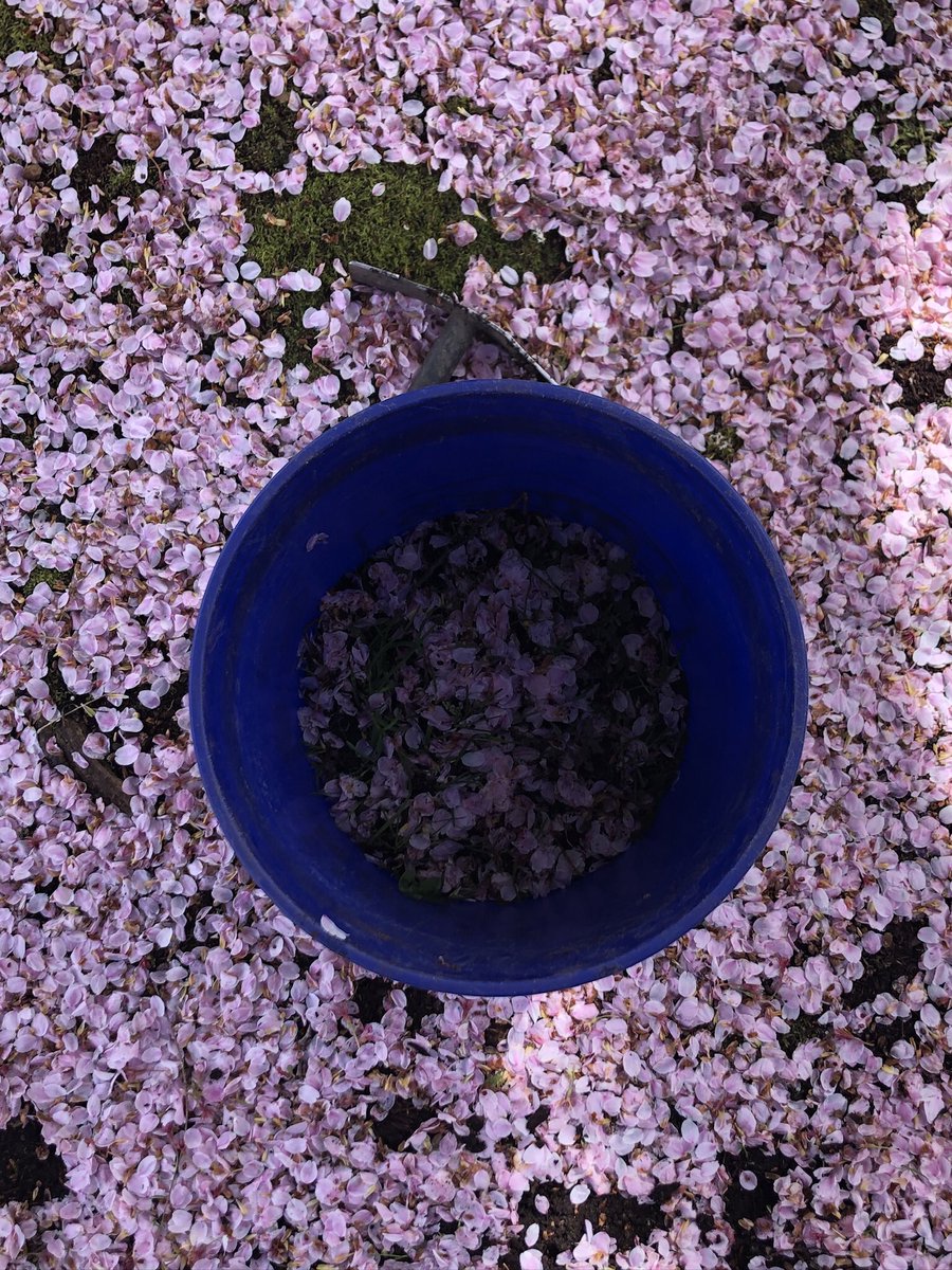 machiineboy's tweet image. Collect filth preserve beauty #mytask