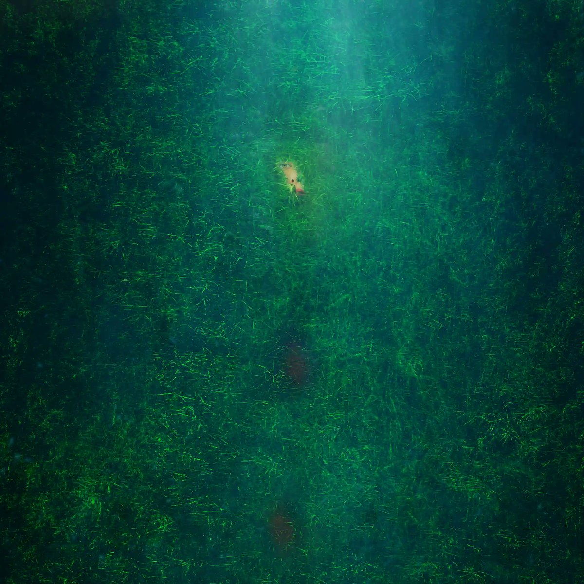 Happy Sunday!

Just minted this gem on gamma.io/ordinals/colle… by <a href="/_CRFTD_/">CRFTD</a> - shoutout to <a href="/huuep/">danny huuep</a> for the alpha. Dove into how <a href="/_CRFTD_/">CRFTD</a> crafts these stunning pieces. Absolutely mesmerizing!

Largest '4-megger' inscription on a Block 9 sat!9⃣

Art on Bitcoin at it's peak!🔥