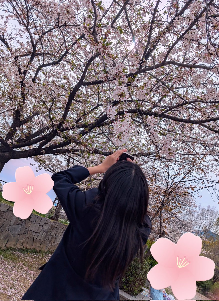 _marimo_36's tweet photo. やっと行けた🌸
でも散り始めてたから少しさみしかった🥺 https://t.co/DSL9l97vs3