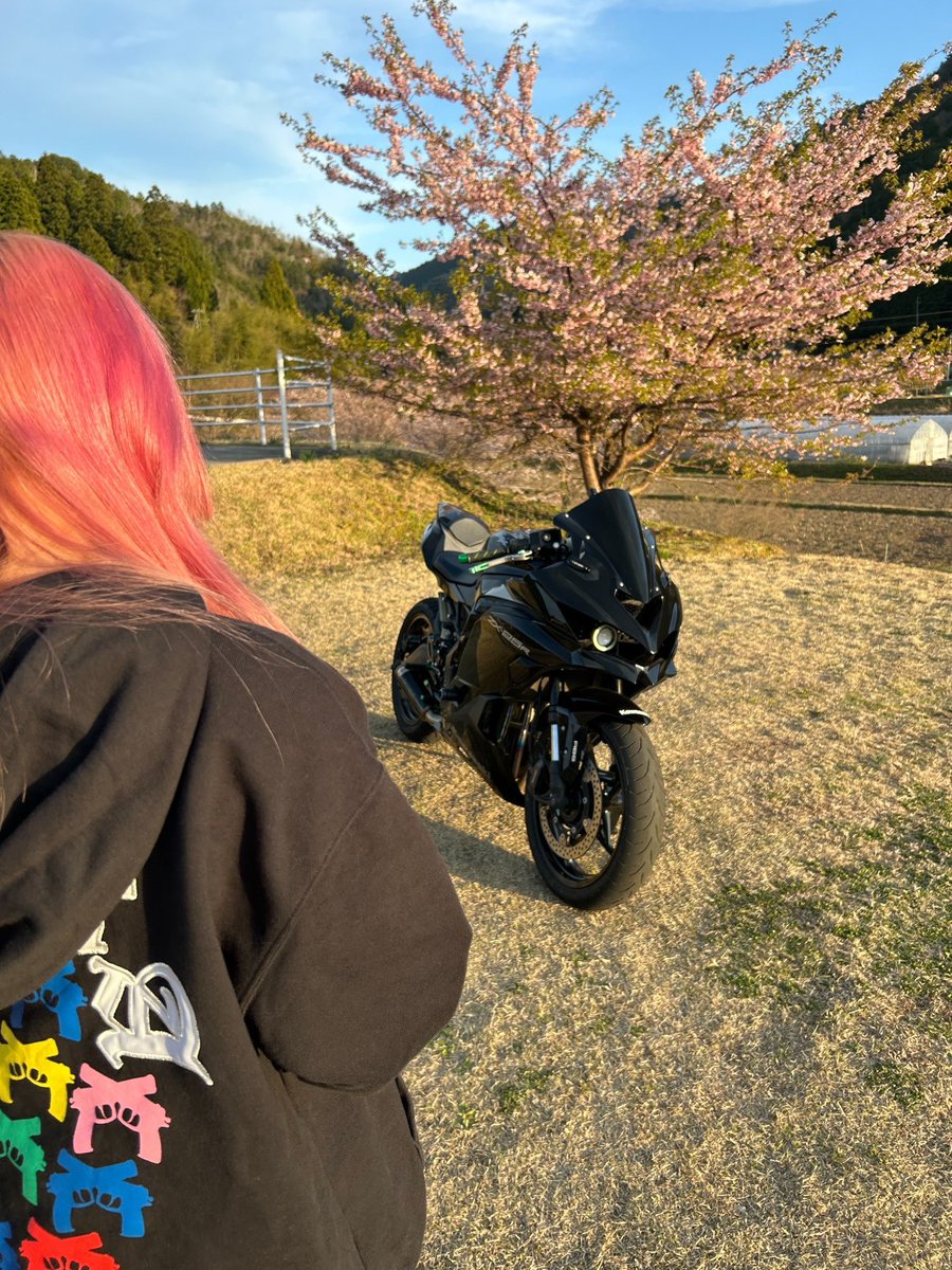 aaru_Ninja's tweet photo. 桜よりぴんくなおで https://t.co/sVDHlfNuZm