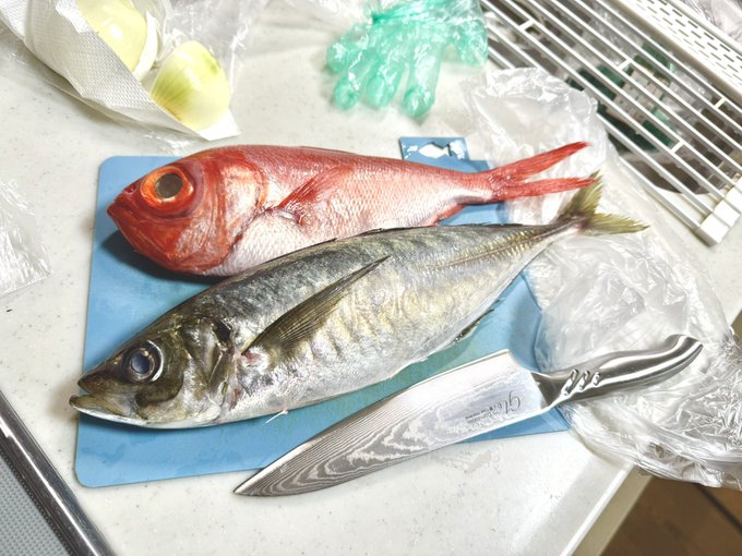 アジと金目鯛を買った
今日は雨だからか魚が安くなってたよ
静岡に生きこのアジを500円で買える嬉しさを噛み締める😭 