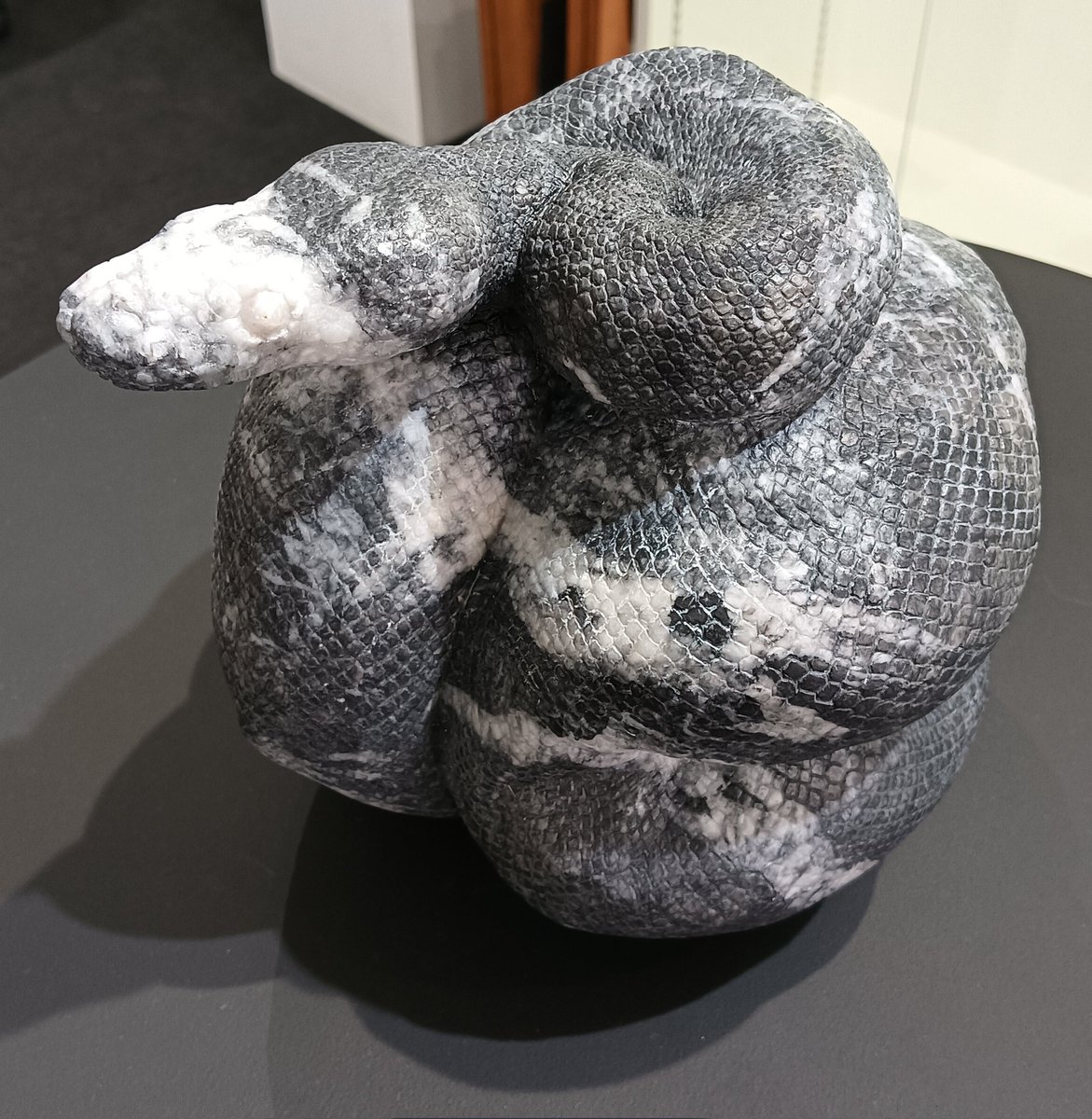 AQUA_SiON's tweet image. まさに、“ボール”パイソン！🐍
ナンバーが「Python 69」との事で、見た目ピッタリの“ロック”な🐍です！✨

#佐野藍
#PythonSeries