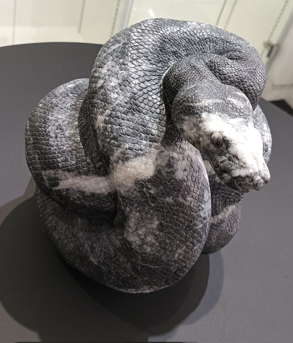 AQUA_SiON's tweet image. まさに、“ボール”パイソン！🐍
ナンバーが「Python 69」との事で、見た目ピッタリの“ロック”な🐍です！✨

#佐野藍
#PythonSeries