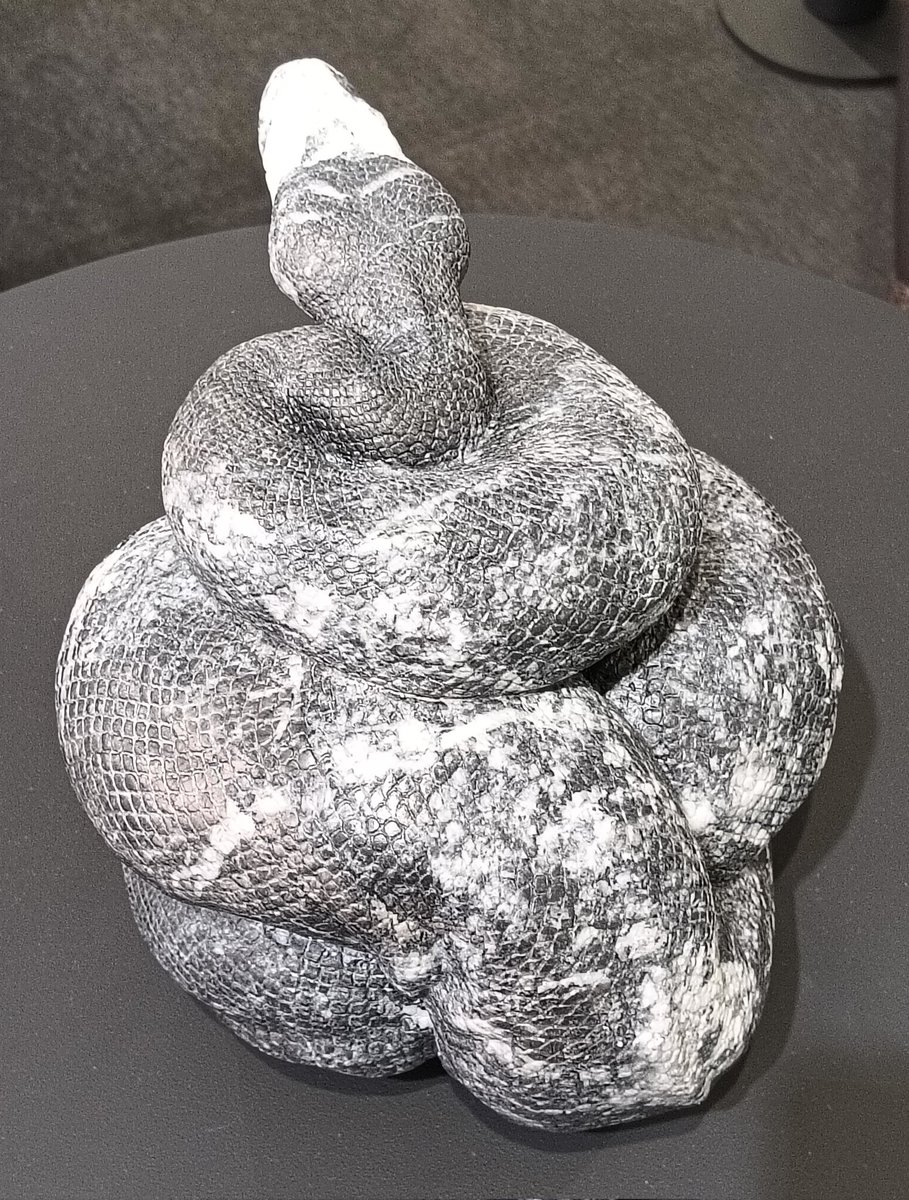 AQUA_SiON's tweet image. まさに、“ボール”パイソン！🐍
ナンバーが「Python 69」との事で、見た目ピッタリの“ロック”な🐍です！✨

#佐野藍
#PythonSeries