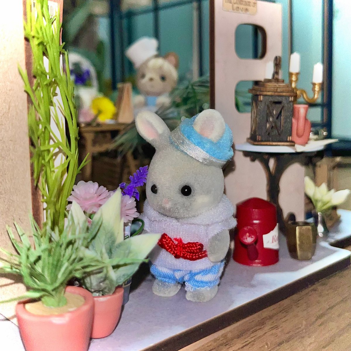 cielucea's tweet image. Siram tanaman