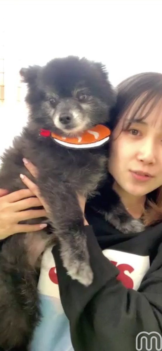 sabu_peace's tweet photo. りこアンジュがもう見れないのかと思ったから悲しい🥲

りちゃん元気〜？！🫨 https://t.co/g94gARiMBc