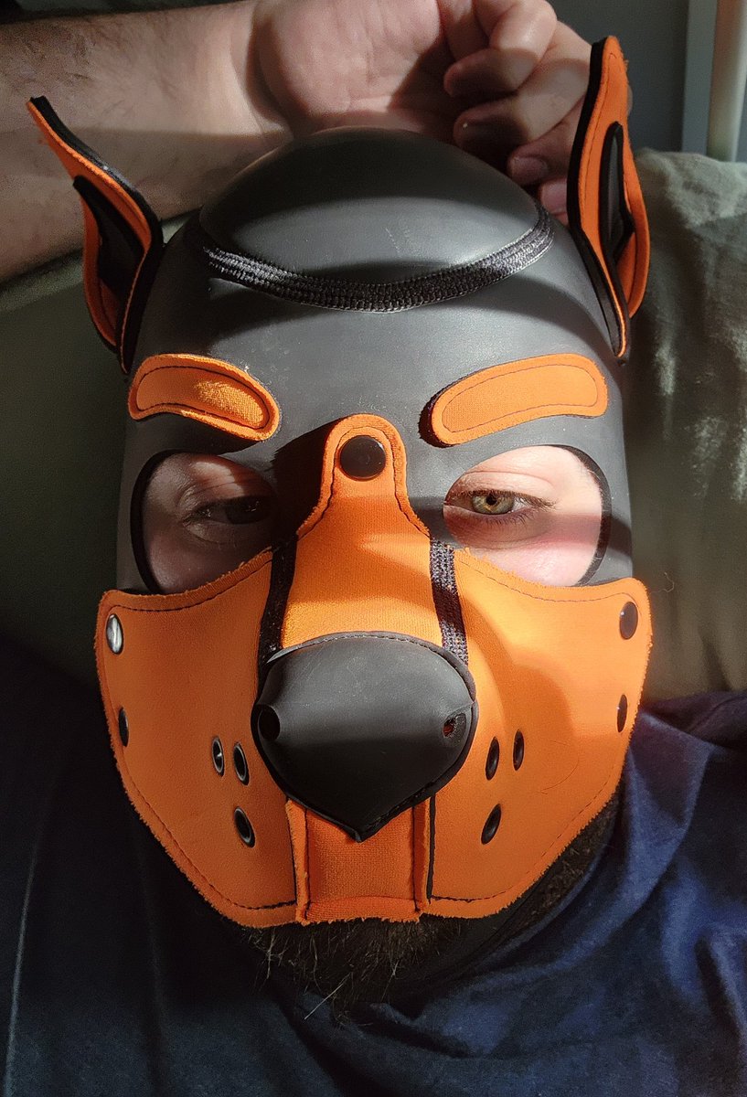 Cur1ousCub tweet media