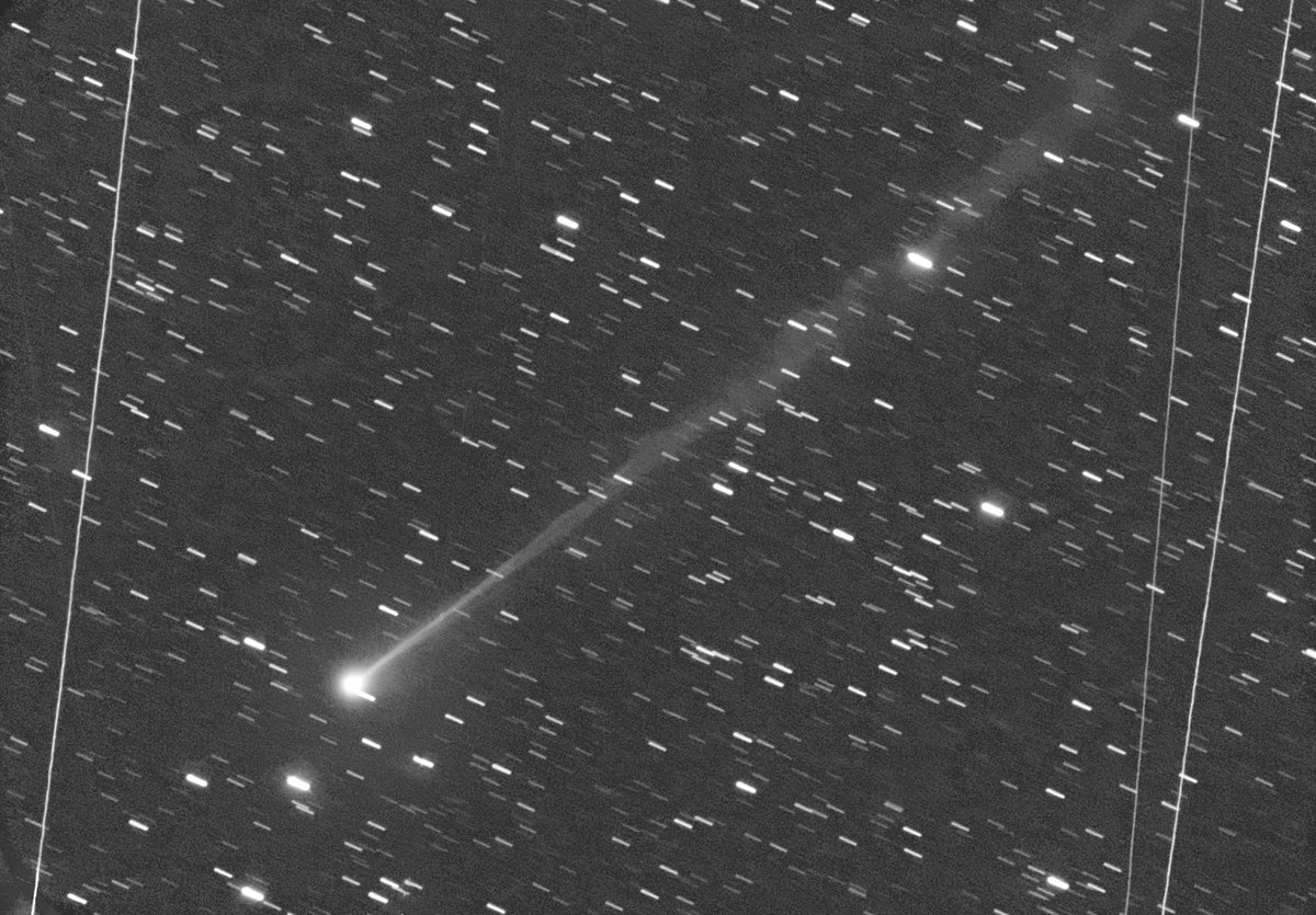 C/2025 F2 Swan under fullmoon conditions 2025 april 13 2.45 UT 10min 14"/4.2 QHY600 Jäger, Rhemann, Prosperi