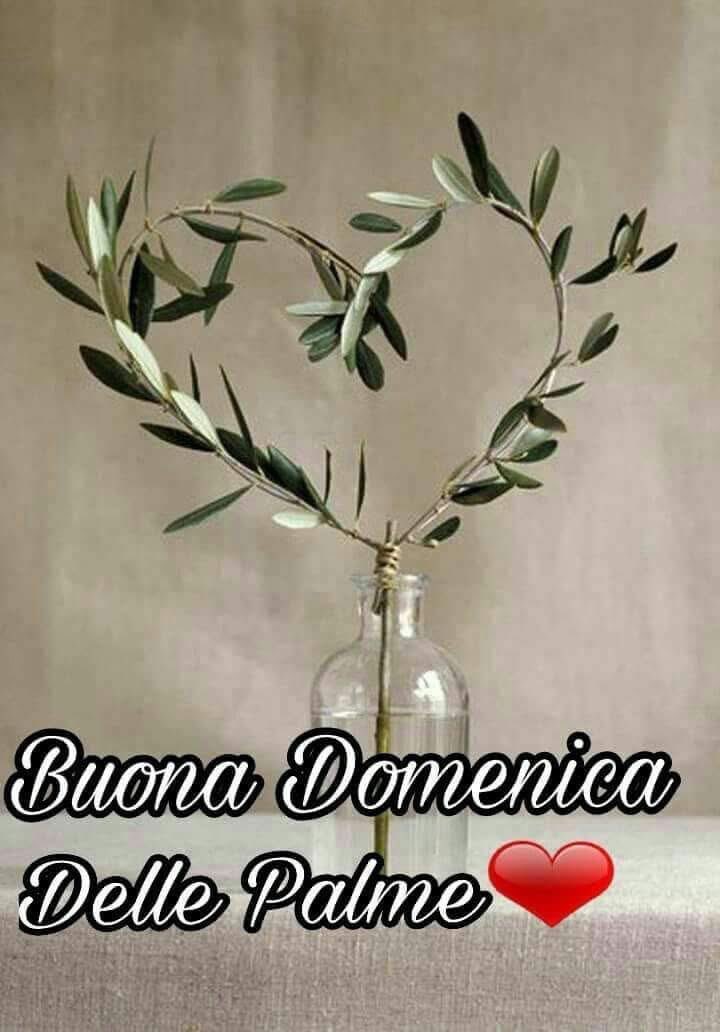 RITABIANCHi56 tweet media