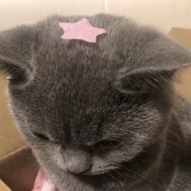 🍮 (@ihanfm) on Twitter photo 