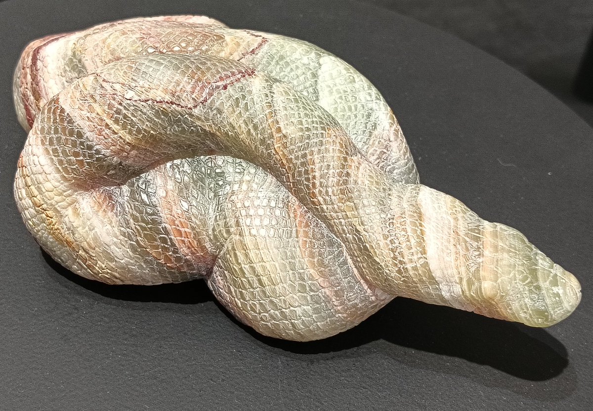 AQUA_SiON's tweet image. 異色の透明感を擁するオニックスの🐍✨

ライトを当てたり、強い外光をバックに見ると一段と美しかったです…！☀🐍✨

#佐野藍
#PythonSeries