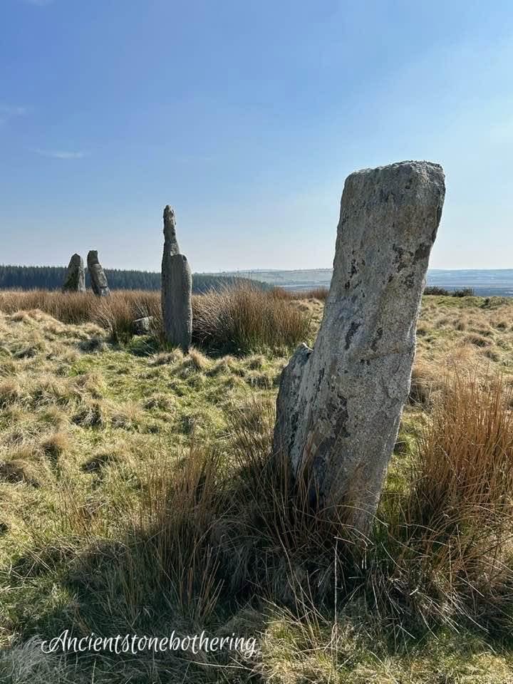 Ancient Stone Bothering tweet media