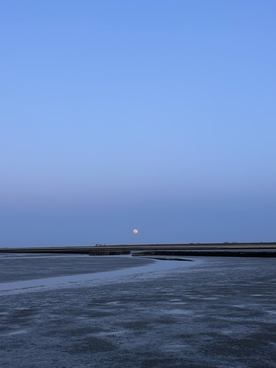 Gisteravond op het Groninger Wad.