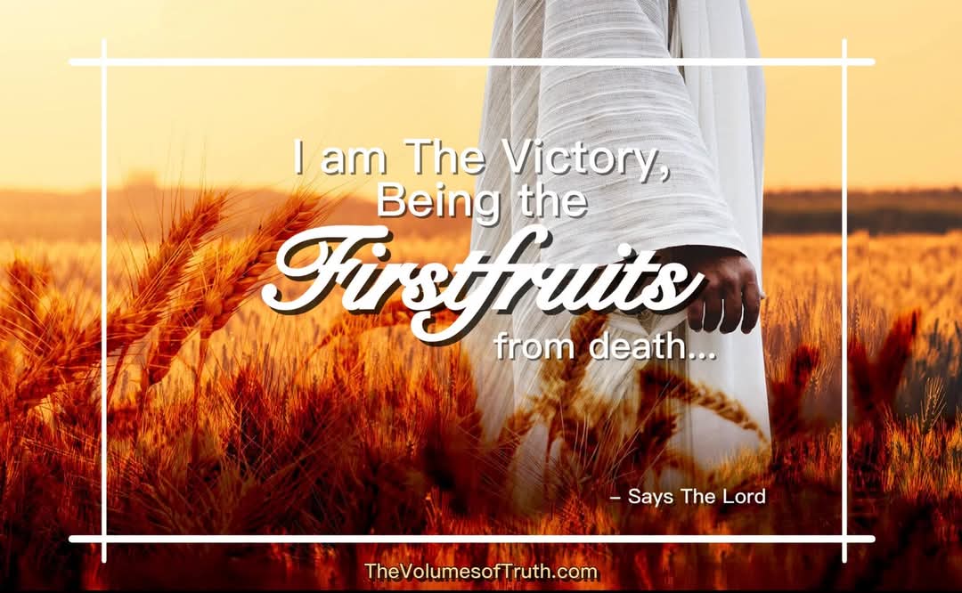 JS4Yah's tweet photo. Source: https://t.co/UXFuuZrRzv

🎬 Video (with voice over) https://t.co/syMgpeh01F

#TheVolumesofTruth #ThussaysTheLord #WordsToLiveBy #victory #Firstfruits #Resurrection #deathtolife #YahuShua #YahuWah #HeIsRisen #biblestudy https://t.co/BXPCnqPi18