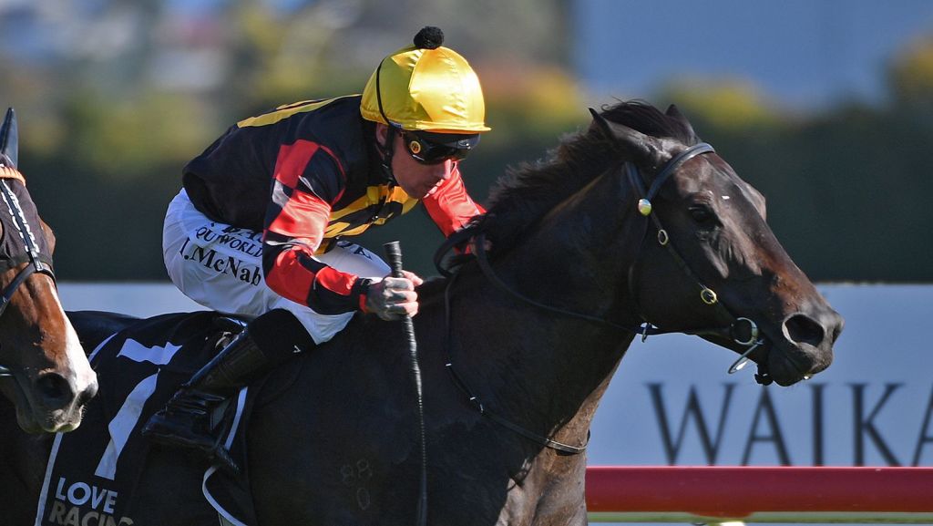 NZ Racing News tweet media