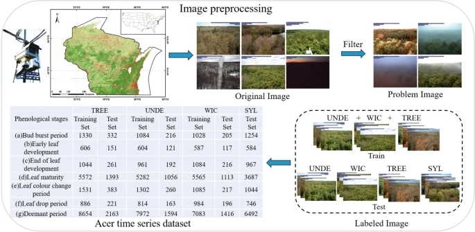 Journal of Forestry Research (@relayjfr) on Twitter photo 🤞 New paper launched out: <a href="/RelayJFR/">Journal of Forestry Research</a> <a href="/ForestryRelay/">ForestryRelay</a>
Advancing Acer phenology monitoring: fine-grained identification and analysis by deep learning RESformer
🛰️🛸 link.springer.com/article/10.100…
#ClimateChange #Forestry #Ecology #PhenologicalPhases 🤞 New paper launched out: <a href="/RelayJFR/">Journal of Forestry Research</a> <a href="/ForestryRelay/">ForestryRelay</a>
Advancing Acer phenology monitoring: fine-grained identification and analysis by deep learning RESformer
🛰️🛸 link.springer.com/article/10.100…
#ClimateChange #Forestry #Ecology #PhenologicalPhases