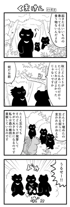 くまけん39周目 リスの澁澤が登場 
