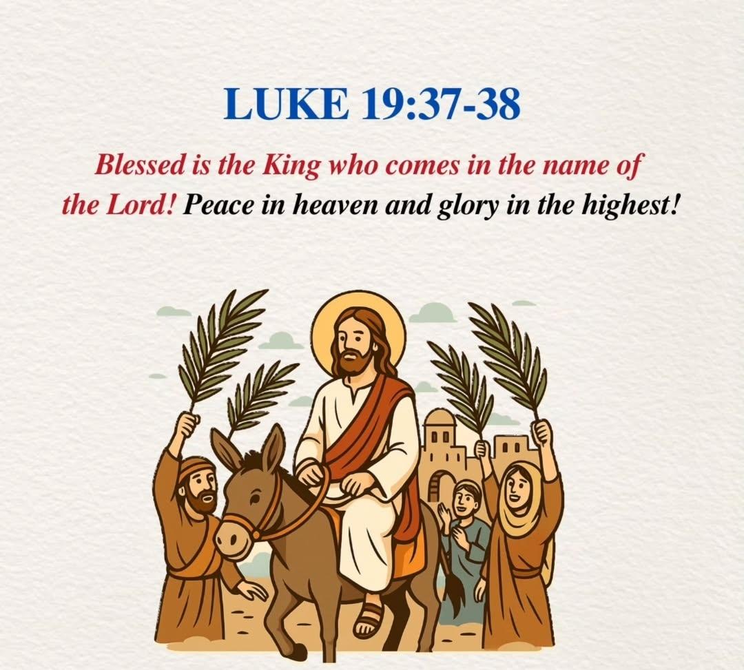 bible_vers85132's tweet photo. #Plamsunday
Luke 19:37-38
#Plamsunday #JesusChrist https://t.co/xloRqxrUWu