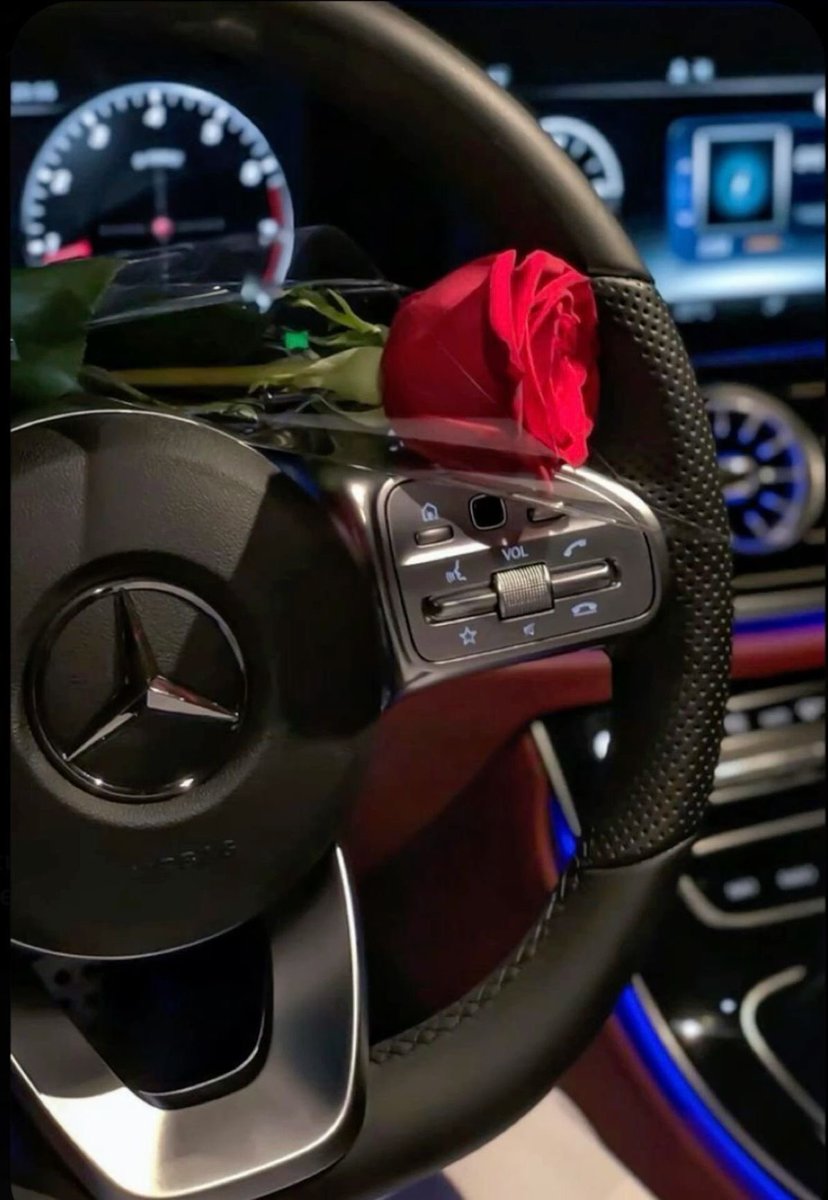 في مثل هذا اليوم، سقطتُ من رحم الغيب إلى ضوء الحياة، ومنذها وأنا أتعلم كيف أولد في كل عام من رماد التجربة…
اليوم أطفئ شمعةً وأوقد في داخلي ألف أمنية…
أتمنّى لي قلبًا لا يخذله الرجاء، وروحًا تمضي ولو كانت مثقلة، وعامًا يُشبه حدسي الجميل بأن القادم أبهى…